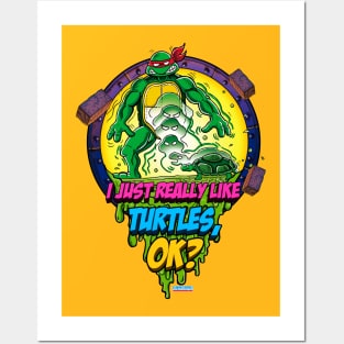 Turtle like Posters and Art